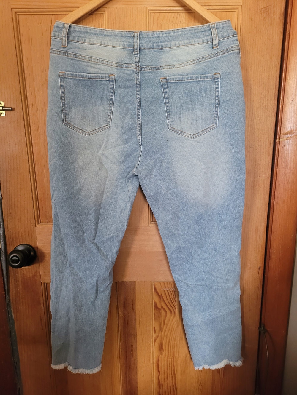 Torrid Jeans 14P Like NEW